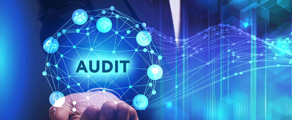 Auditor Teknologi Informasi
